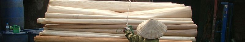 GlobalPanels