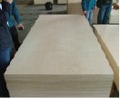Birch